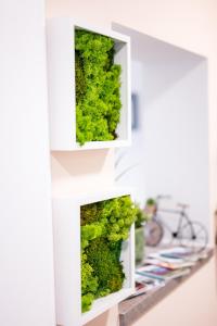 zwei weiße Rahmen mit grünen Pflanzen auf einem Regal in der Unterkunft BoRa Apartment in Villach