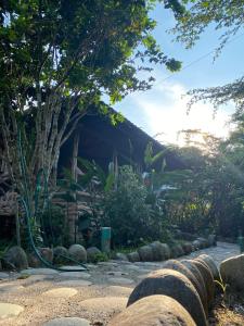 a garden with rocks on the side of a road at Ama Ecolodge in Puerto Misahuallí