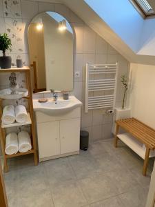a bathroom with a sink and a mirror at Maison cosy au coeur du vignoble d'Hautvillers in Hautvillers