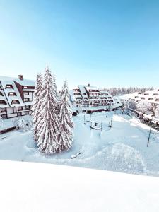 a snow covered resort with a christmas tree in the snow at Apartments Suncani Vrhovi Kopaonik in Kopaonik