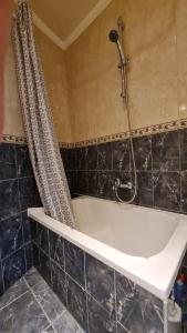 a bath tub in a bathroom with a shower at Classy apartment at European Quarter in Brussels