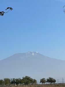 a kite flying in front of a snow covered mountain at Evelina House in Boma la Ngombe