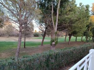 A garden outside MET&GOLF OLIVA NOVA BEACH JARDIN