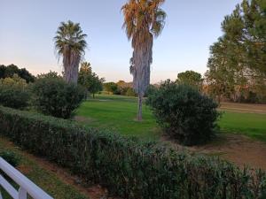 A garden outside MET&GOLF OLIVA NOVA BEACH JARDIN