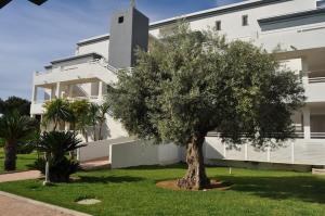 A garden outside MET&GOLF OLIVA NOVA BEACH JARDIN
