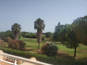 A garden outside MET&GOLF OLIVA NOVA BEACH JARDIN