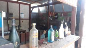 a group of wine bottles sitting on a counter at Toraja ManuBackPacker in Rantepao