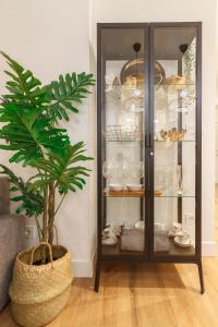 a glass cabinet with a plant in a room at Bilbao Heart 2BDR Apartment - Parking privado opcional in Bilbao