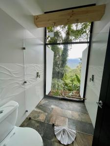 a bathroom with a toilet and a large window at Sangregado Lodge in Fortuna