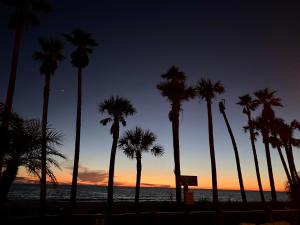 un grupo de palmeras en la playa al atardecer en Holiday Inn Resort Panama City Beach - Beachfront, an IHG Hotel en Panama City Beach