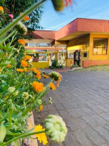 Un edificio con un mazzo di fiori davanti di Hospedaje a Osorno