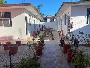a courtyard of a building with plants and red chairs at Hotel villa carmita in Bacalar