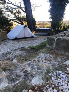 una tenda bianca seduta in mezzo a un campo di Flying Fox Backpackers a Katoomba