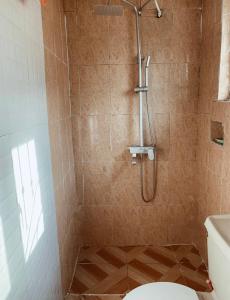a bathroom with a shower with a toilet in it at Cozy studio unit in lekki phase 1 - Kitchen, 24-7 light, wifi, Netflix in Lagos