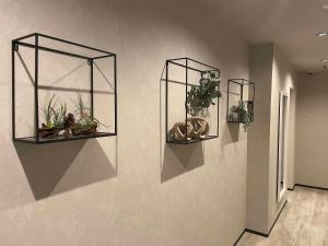 Fotografie z fotogalerie ubytování TOCORO. Mt.Fuji Station HOSTEL Kawaguchiko v destinaci Fudžikawagučiko