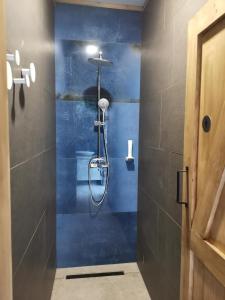 uma casa de banho com um chuveiro e uma parede azul em Glamping Bagrem em Jablanica