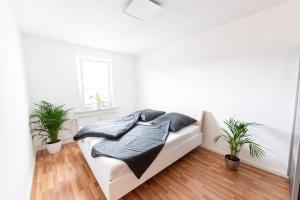 a white bedroom with a bed and two plants at Ferienwohnung Martin 3 und 4 in Bad Harzburg