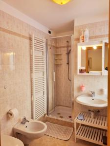 カンピテッロ・ディ・ファッサにあるCiapiàのバスルーム(シャワー、洗面台、トイレ付)
