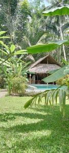 Gallery image of RNV Eco Resort Bungalows in Batukaras