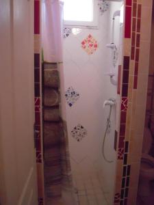 a bathroom with a shower with a shower curtain at Gite Muscat for 4 people in the heart of the vineyard in Badens