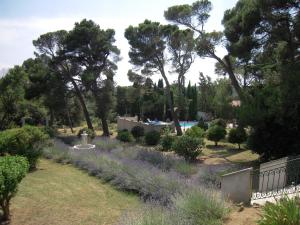 a garden with purple flowers and trees and a pool at Gite Muscat for 4 people in the heart of the vineyard in Badens