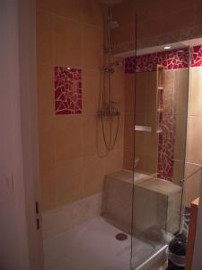 a bathroom with a shower with a glass door at Gite Syrah for 6 people in the heart of the vineyard in Badens