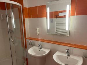 Koupelna v ubytování Apartman FILIPNO