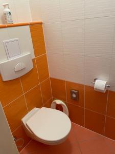 łazienka z białą toaletą w kabinie w obiekcie Apartman FILIPNO w mieście Frymburk