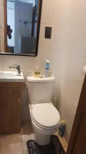 y baño con aseo, lavabo y espejo. en Mansholl Luxurious Apartment en Freetown