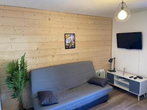 a living room with a blue couch in front of a wall at Les Rousses in Oz