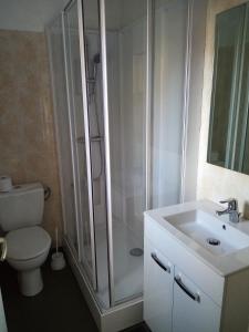 La salle de bains est pourvue d'une douche, de toilettes et d'un lavabo. dans l'établissement Chez Colette, à Montviron
