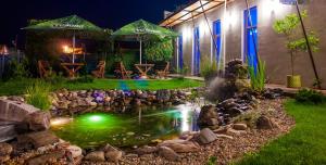 un estanque koi en un jardín por la noche en Pensiunea La Broscuta, en Câmpia Turzii