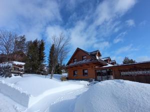 Afbeelding uit fotogalerij van Apartman Studio GORAL in Ždiar