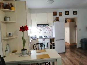 a kitchen with a white refrigerator and a table with a red flower at Slávik Apartment in Dunajská Streda +18 photos