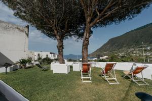 a group of chairs sitting on the grass with a tree at Case Vacanza Cafarella in Malfa