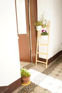 Zdjęcie z galerii obiektu City-Apartments Langegger w Wiedniu