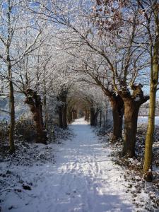 Hotel Restaurant Kloppendiek v zimě