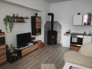 Televízia a/alebo spoločenská miestnosť v ubytovaní Apartmán Petra