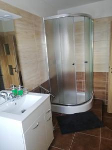 uma casa de banho com um chuveiro e um lavatório. em Apartmán Petra em Kovářská