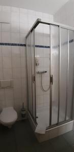 a bathroom with a shower and a toilet at Gasthof zum alten Schulmeister in Harra +57 photos