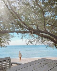 Una mujer caminando por la playa bajo un árbol en Wilson's Retreat en Gili Trawangan