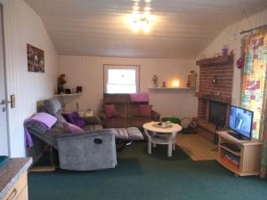 ein Wohnzimmer mit einem Sofa und einem TV in der Unterkunft Holiday home Hunning in Hünning