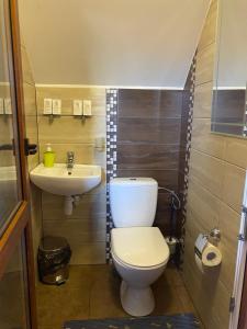 a small bathroom with a toilet and a sink at Старий Янів in Ivano-Frankovo