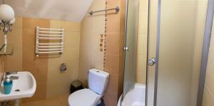 ein Bad mit einem WC, einem Waschbecken und einer Dusche in der Unterkunft Старий Янів in Ivano-Frankovo