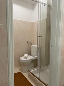 La salle de bains est pourvue de toilettes et d'une douche en verre. dans l'établissement AL PRAÇA, à São João da Madeira