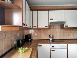 Kuchyňa alebo kuchynka v ubytovaní Apartamento Lurra Barrika