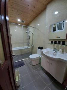 a bathroom with a shower and a toilet and a sink at 八畝田 Bamutian Farmland 8 Mu in Yuli