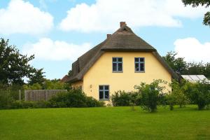 a yellow house with a thatched roof on a field at Semi-detached house in the port village of Vieregge on the island of Rügen in Vieregge