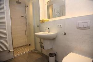 a bathroom with a sink and a shower with a mirror at Apartment Villa Nicole, Zingst in Zingst
