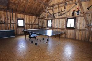 Oberwürschnitz的住宿－Holiday complex Landlust M hlental，谷仓里的一个房间里一张乒乓球桌
